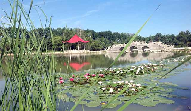 ��������������ְҵѧԺ��ľ˹У�����º�����